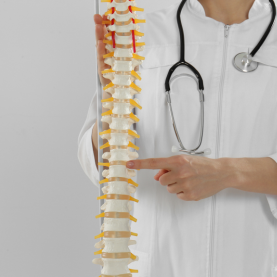 Cirurgia de Coluna